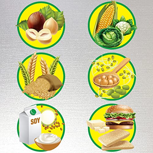 High Protein Vegan Food Chart - Plant Based Diet
