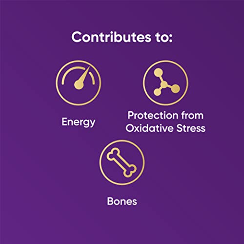 Organic Açaí Powder - Wild-Harvested Superfood (125g Pouch)