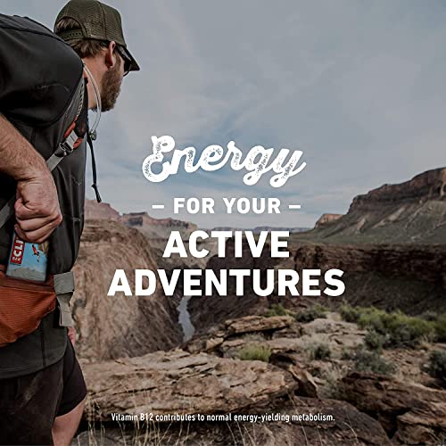 Plant-Based Protein Bar: CLIF Bar | Crunchy Peanut Butter