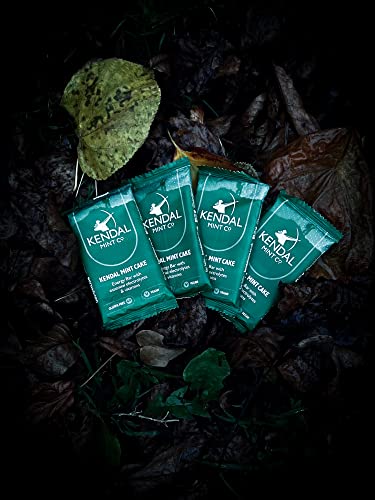Vegan Gluten Free Energy Bars with Electrolytes (Pack of 6)