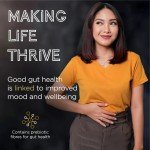 Slimbiome Chocolate Peanut Bars - Keto, High Protein
