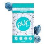 PUR Sugar Free Wintergreen Chewing Gum, 55 Pieces