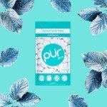PUR Sugar Free Wintergreen Chewing Gum, 55 Pieces