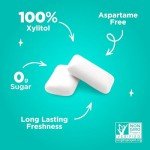PUR Sugar Free Wintergreen Chewing Gum, 55 Pieces