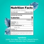 PUR Sugar Free Wintergreen Chewing Gum, 55 Pieces