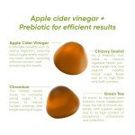 Rite Vitamin Gummies for Weight Management and Digestive Health