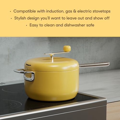 Stainless Steel 6 Quart Stovetop Popcorn Popper