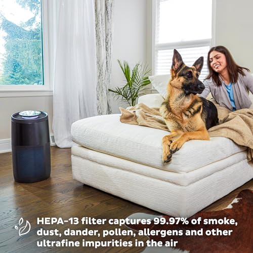 Instant Air Purifier - Powerful, Quiet & Effective