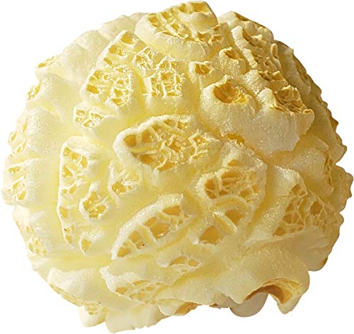 Gourmet Mushroom Popcorn Kernels - 32oz Bag