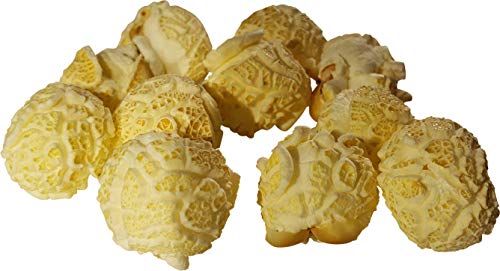 Gourmet Mushroom Popcorn Kernels - 32oz Bag