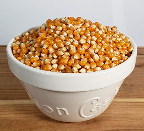 Gourmet Mushroom Popcorn Kernels - 32oz Bag