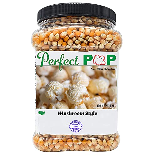 Gourmet Mushroom Popcorn Kernels - 2lbs