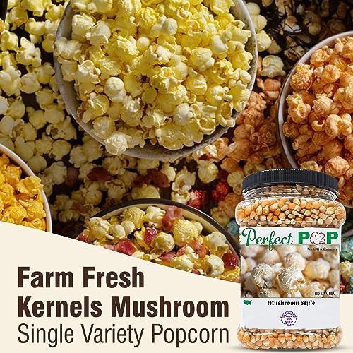 Gourmet Mushroom Popcorn Kernels - 2lbs