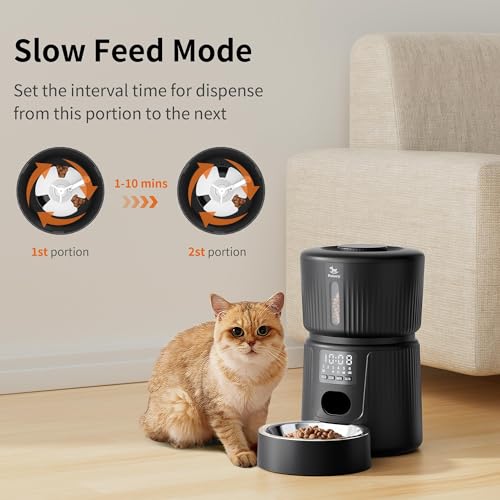 Petory Auto Feeder - 6 Meal Food Dispenser for Cats and Small Dogs