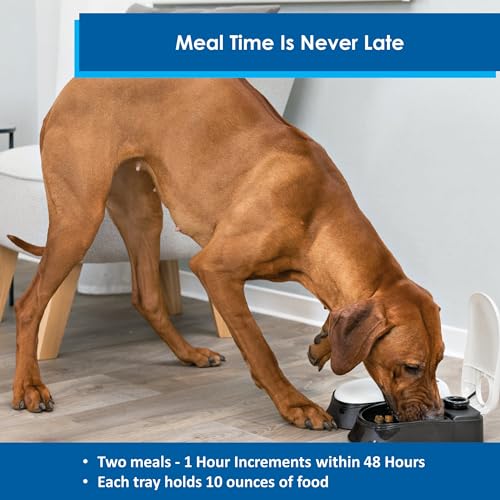 TRIXIE TX2 Automatic Food Dispenser, Dual Compartments