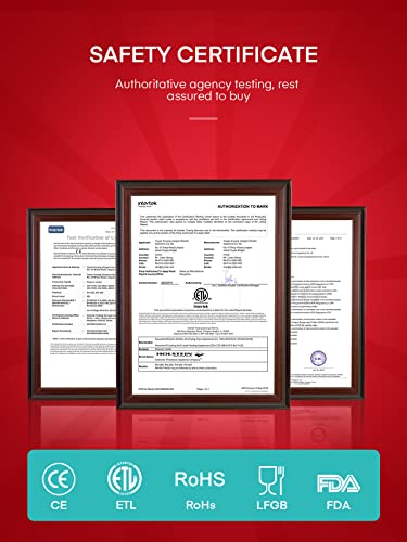 Large 6 Quart Popcorn Machine & Serving Bowl