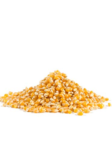 Bob's Yellow Popcorn, 30 Oz