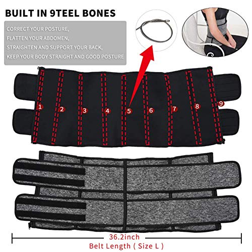 Coastal Rose Women's Plus Size Waist Cincher