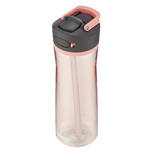 Pink Lemonade Contigo Ashland 2.0 Water Bottle