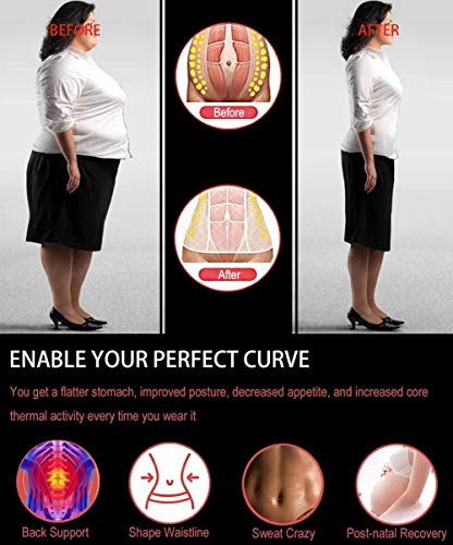 Coastal Rose Women's Plus Size Waist Cincher