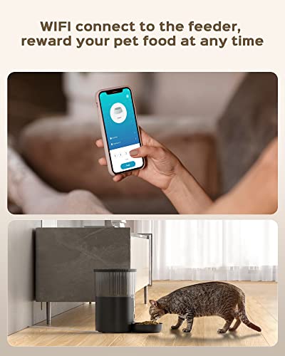 Smart Pet Feeder: WiFi, Timed, Customizable, APP Control