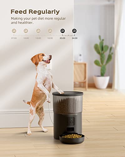 Smart Pet Feeder: WiFi, Timed, Customizable, APP Control