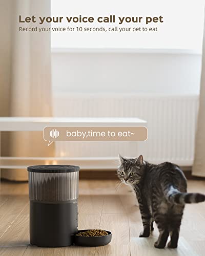 Smart Pet Feeder: WiFi, Timed, Customizable, APP Control