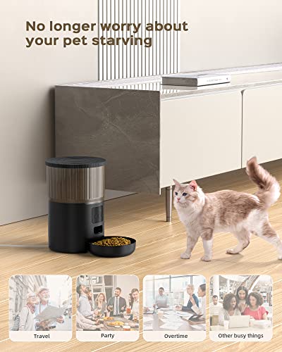 Smart Pet Feeder: WiFi, Timed, Customizable, APP Control