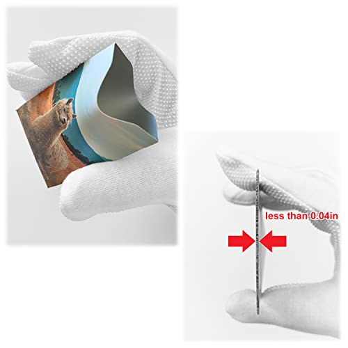 RFID Blocking Credit Card Sleeves in Animal Prints