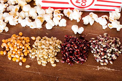 4-4 oz Bags | Popcorn Kernel Variety Sampler | Baby White, Red, Medium Yellow and Purple Popcorn Kernels