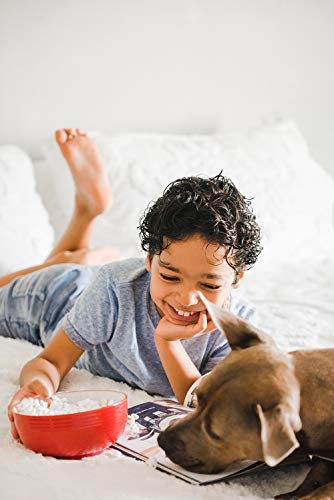 4-4 oz Bags | Popcorn Kernel Variety Sampler | Baby White, Red, Medium Yellow and Purple Popcorn Kernels