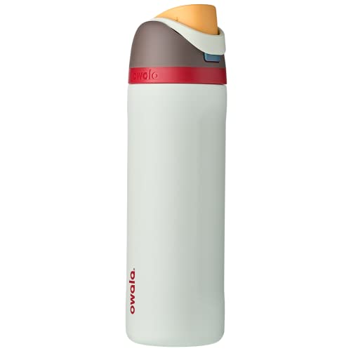 Insulated Stainless Steel Water Bottle with Straw - Boneyard