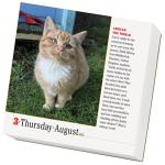 365 Cats Page-A-Day 2023 Calendar: World's Favorite