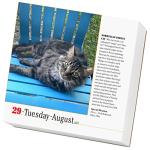365 Cats Page-A-Day 2023 Calendar: World's Favorite