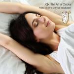 Salvador Dali Melting Clock for Home & Office