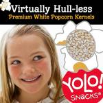 Gourmet Hulless Popcorn Kernels - 32 Oz Bag