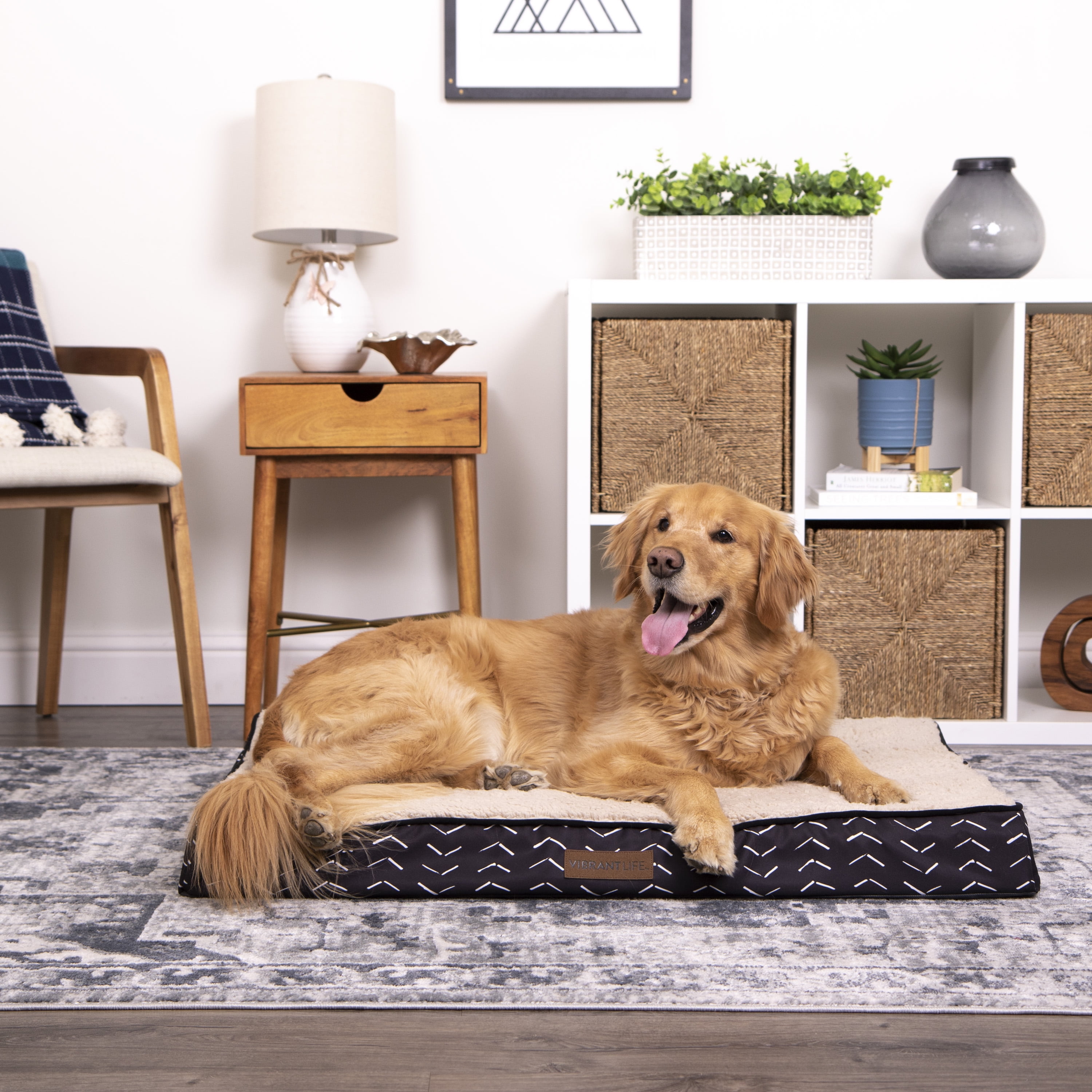 Large Orthopedic Dog Bed: Vibrant Life Edition