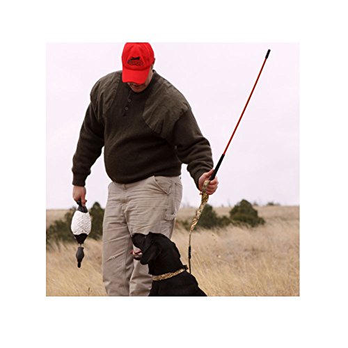 Avery Trainer's Heeling Stick for Hunting Dogs