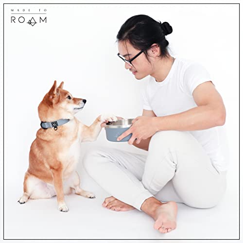 ROAM Premium Adjustable Dog Collar - Heavy Duty