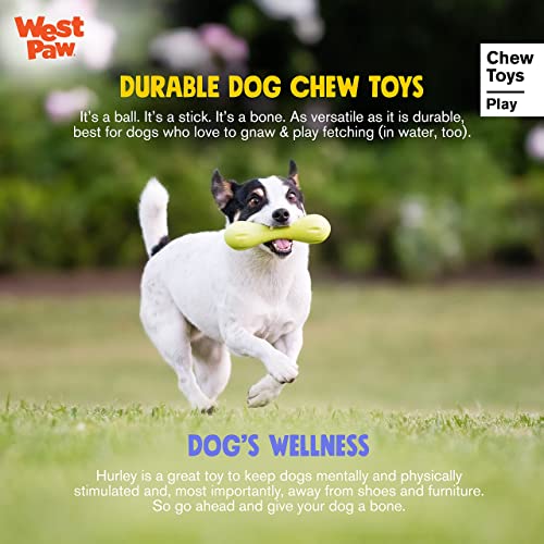 Aqua Zogoflex Hurley Bone Chew Toy