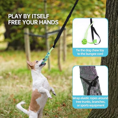 Adjustable Bungee Tugger Toy with Chew Ropes for Dogs