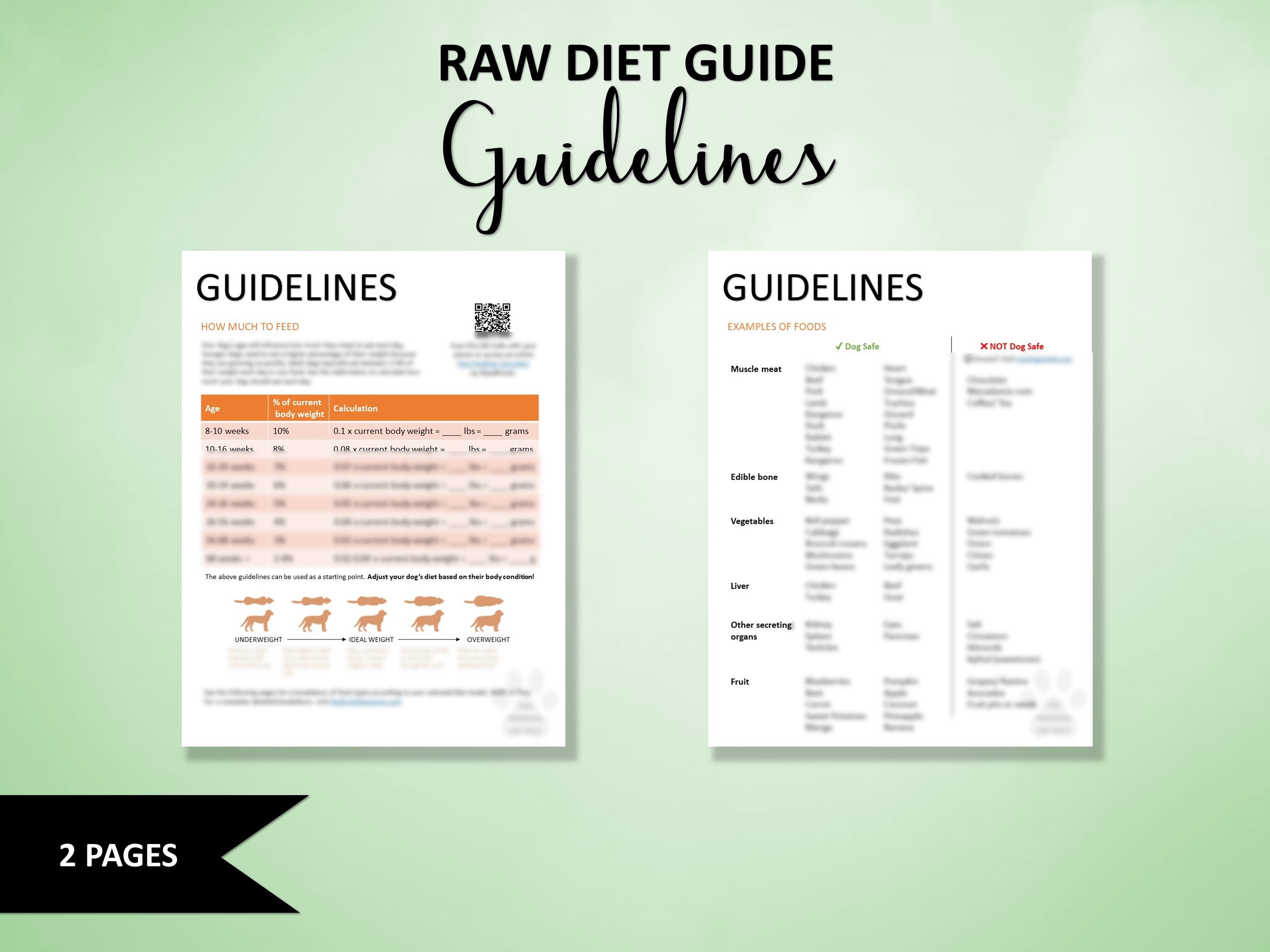 Dog's Raw Food Guide | BARF & PREY Model