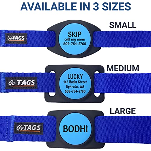 Personalized AirTag Dog Collar - Custom Text