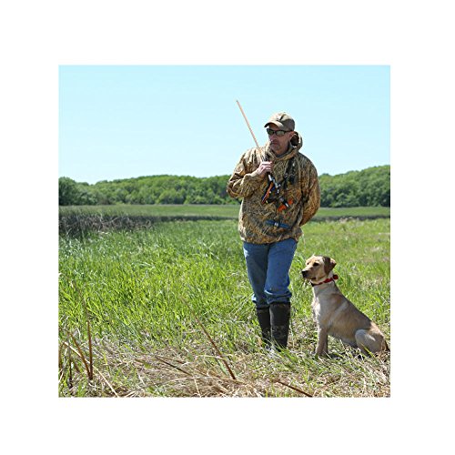 Avery Trainer's Heeling Stick for Hunting Dogs