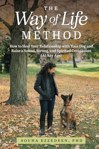 Dog Training for a Vibrant and Loyal Pet
