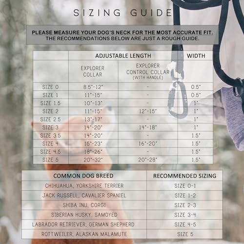 ROAM Premium Adjustable Dog Collar - Heavy Duty