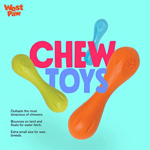 Aqua Zogoflex Hurley Bone Chew Toy