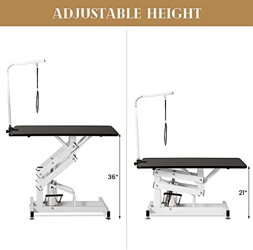 Adjustable Hydraulic Dog Grooming Table for Small/Large Dogs