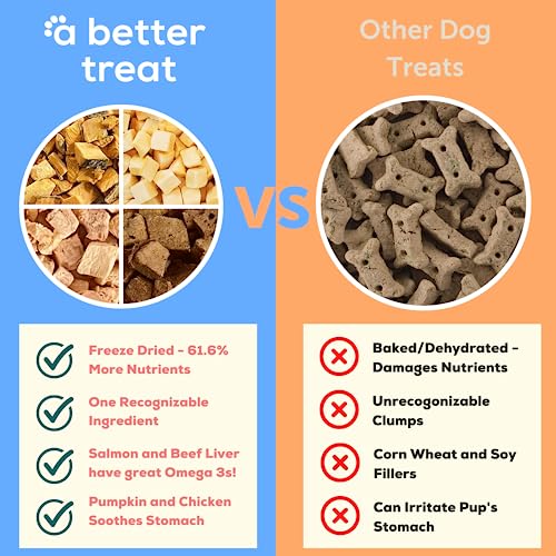 Organic Pumpkin, Wild Salmon, Beef, Chicken Treats | USA Made