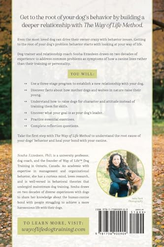 Dog Training for a Vibrant and Loyal Pet